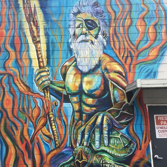 Meet your Posher, Hayden - Picture 1 of 1